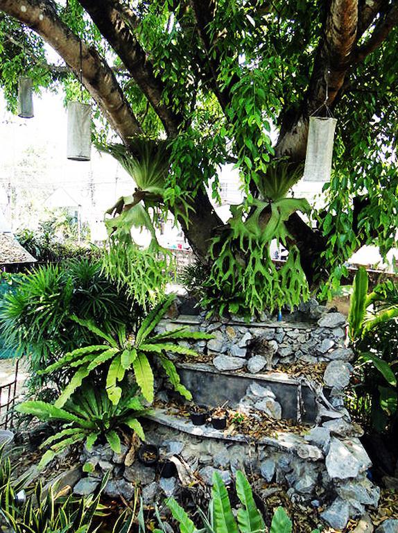 Heuandok - Euang Chiang Rai Extérieur photo